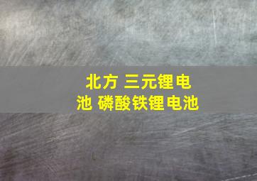 北方 三元锂电池 磷酸铁锂电池